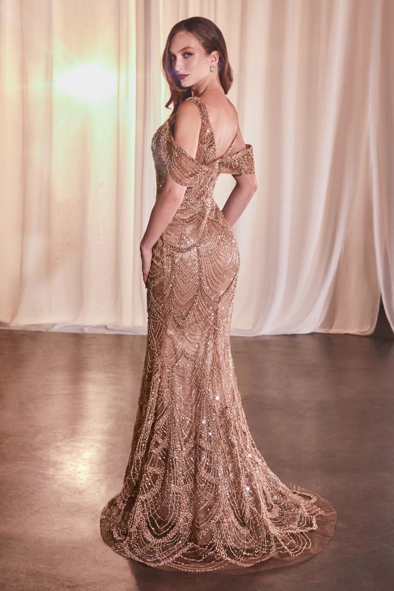 Fully Embellished Fit & Flare Gown-3
