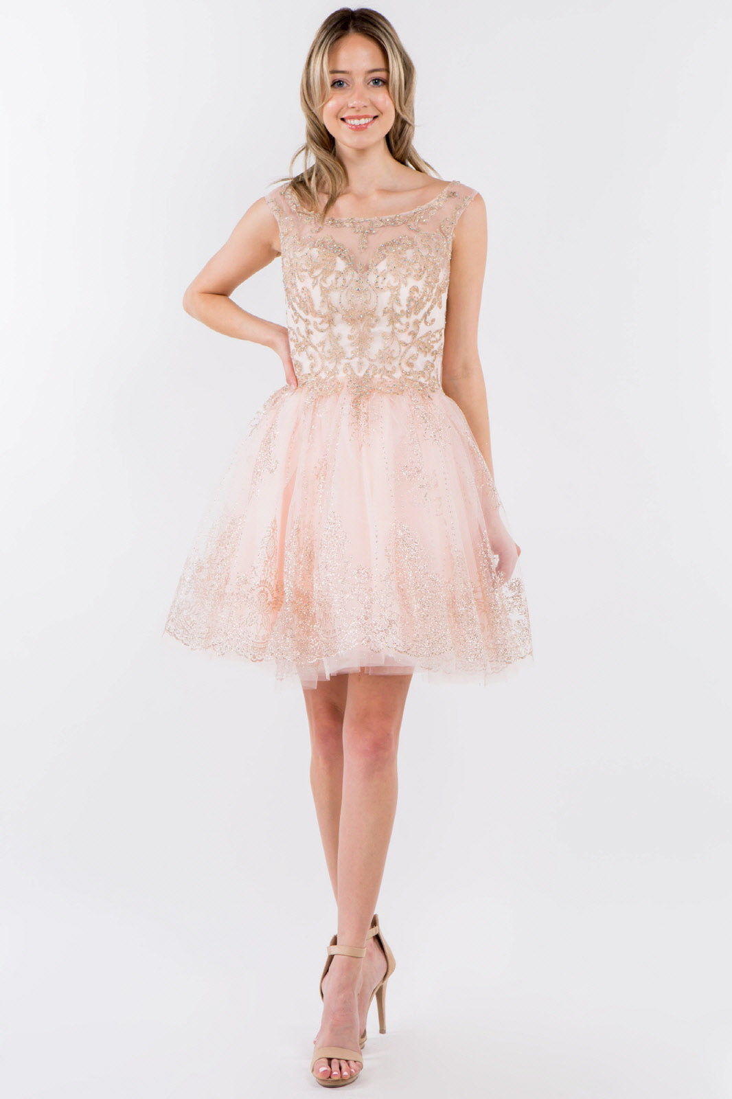 Embroidery Embellished Bodice Glitter Pattern Mesh Skirt Short Dress-10