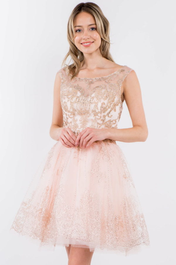 Embroidery Embellished Bodice Glitter Pattern Mesh Skirt Short Dress-11