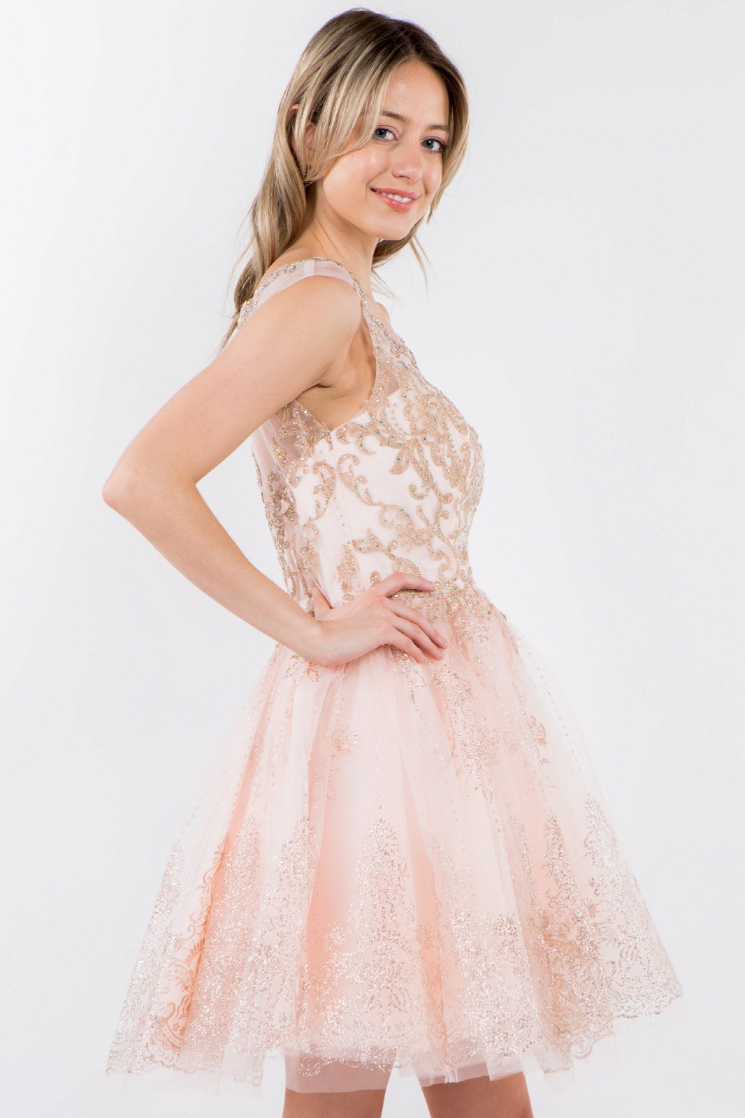 Embroidery Embellished Bodice Glitter Pattern Mesh Skirt Short Dress-13