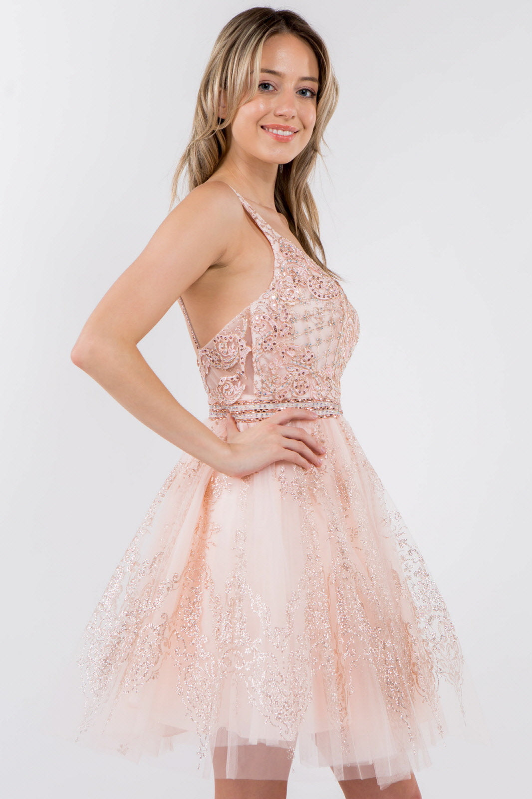 Jewel Accented Waistline Glitter Mesh V-Neck Short Dress-2