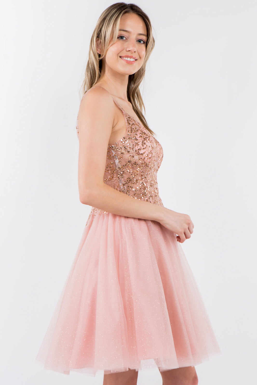 Sequin and Glitter Embellished Sheer Bodice V-Neck Short Dress-12
