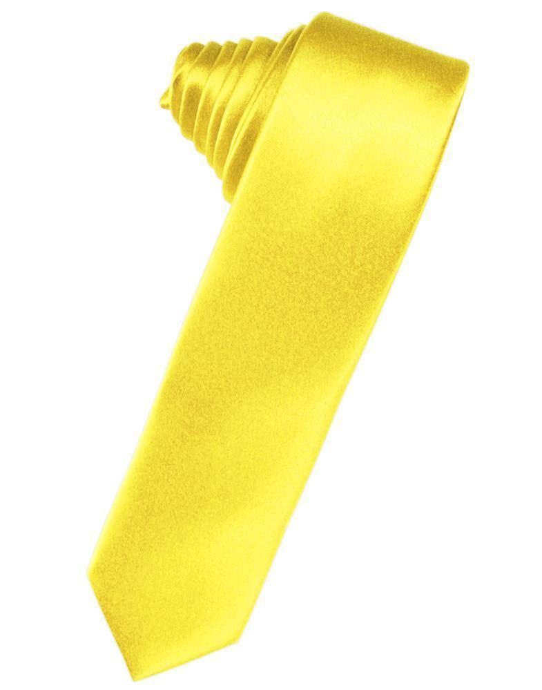 Luxury Satin Skinny Necktie Self Tie-62