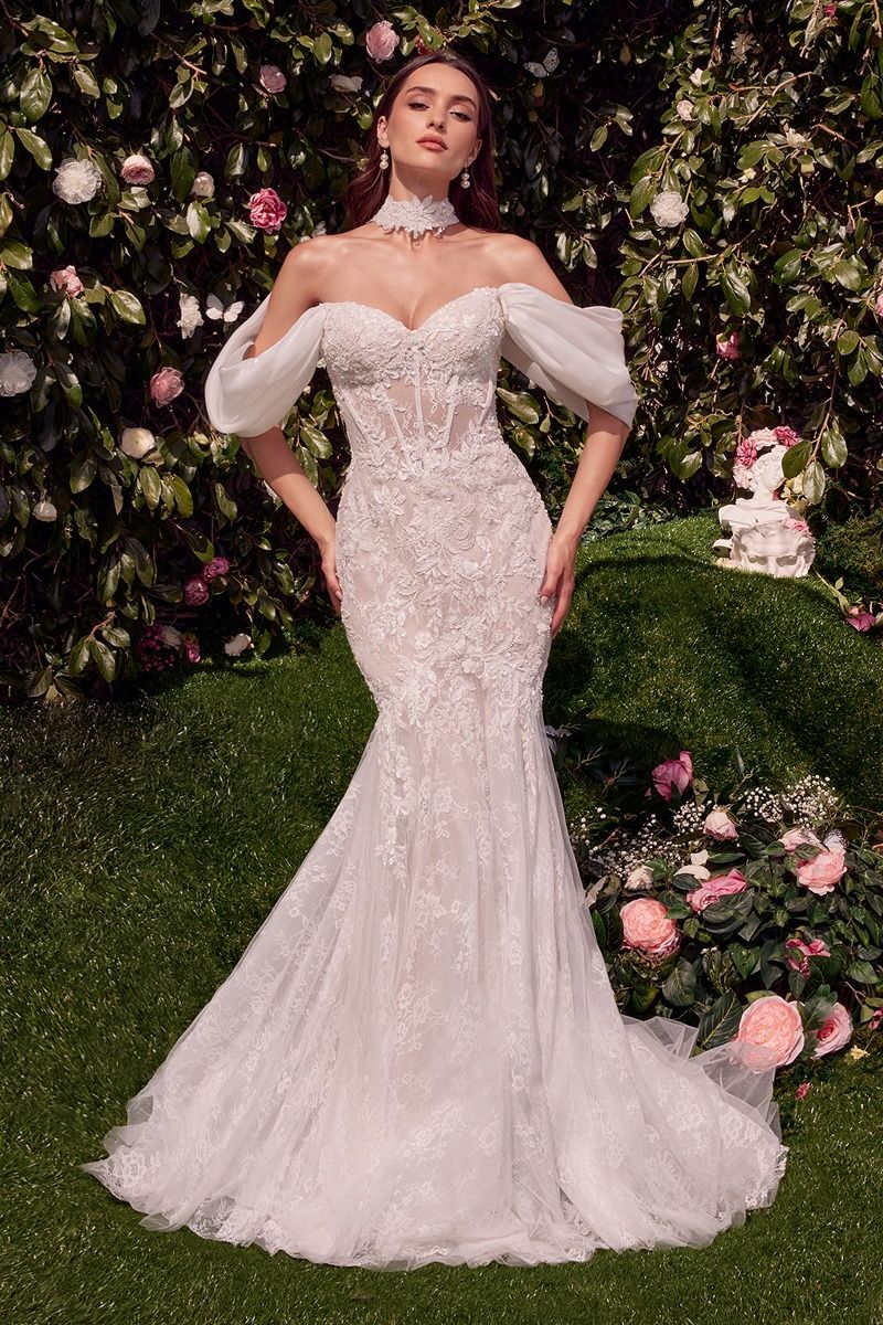 Detachable Wings Mermaid Wedding Gown-0