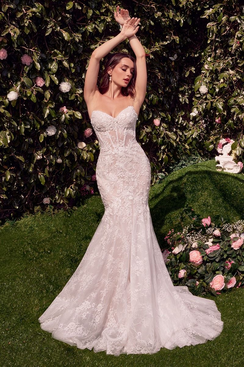 Detachable Wings Mermaid Wedding Gown-1