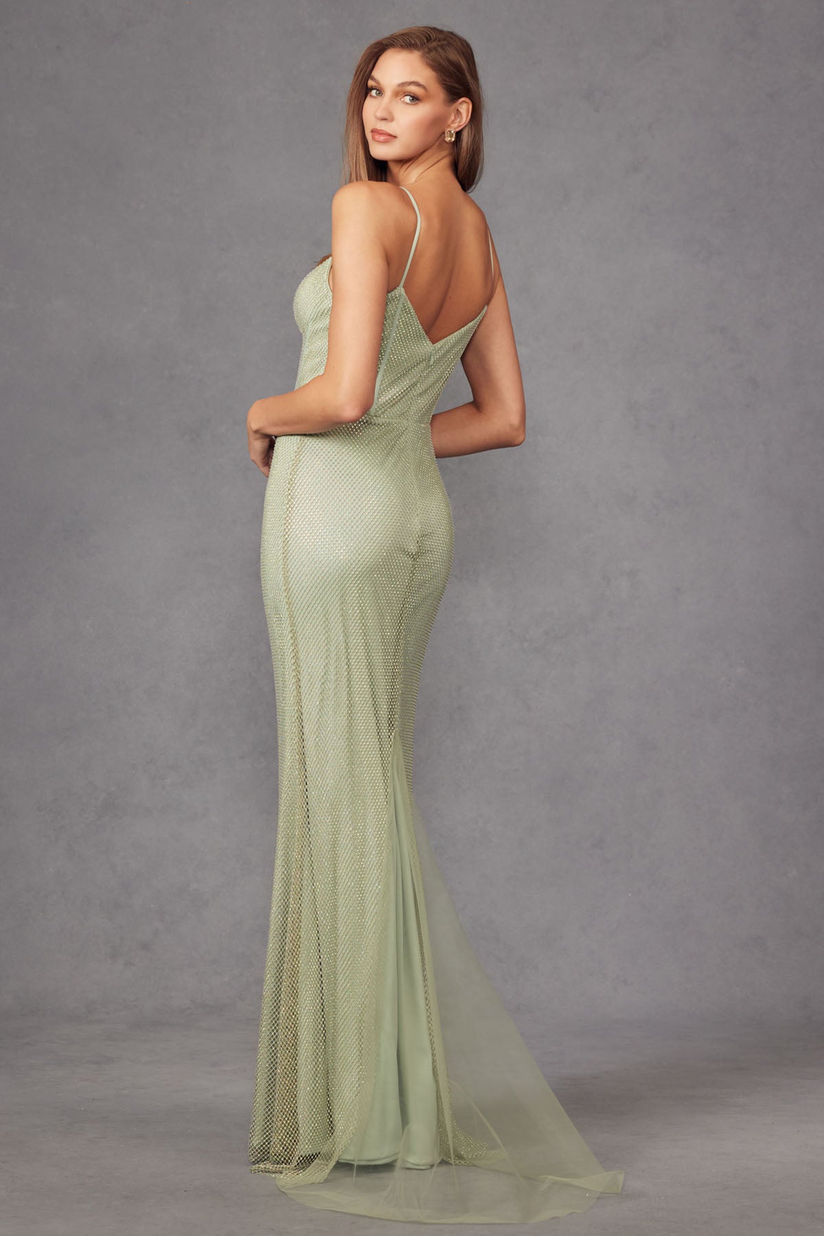 Rhinestone Net Mesh Fitted Corset Long Prom Dress JTJT2470S-10