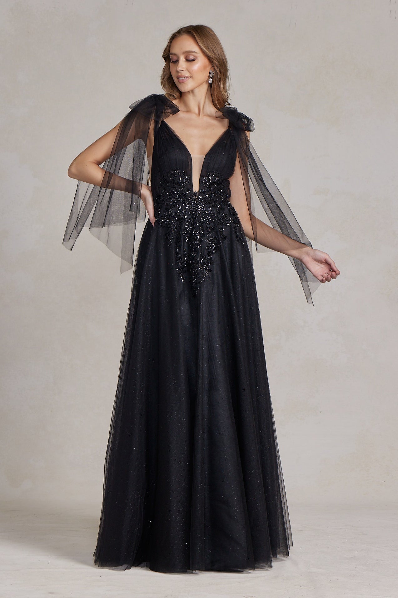 Tulle Skirt Deep Illusion V-Neck Embroidered Lace Long Prom Dress NXE1075-1