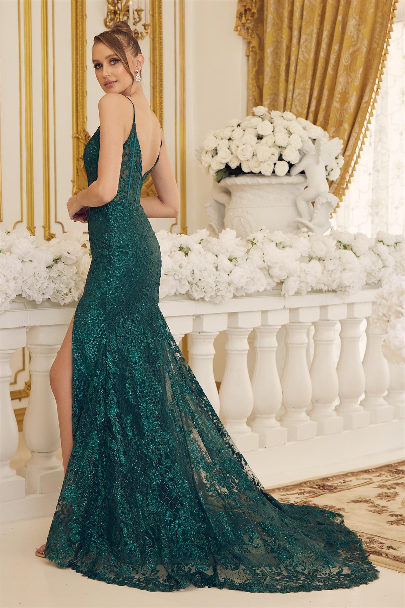 Side Slit Embroidered Lace Bodice Open V-Back Long Prom Dress NXC1100-2