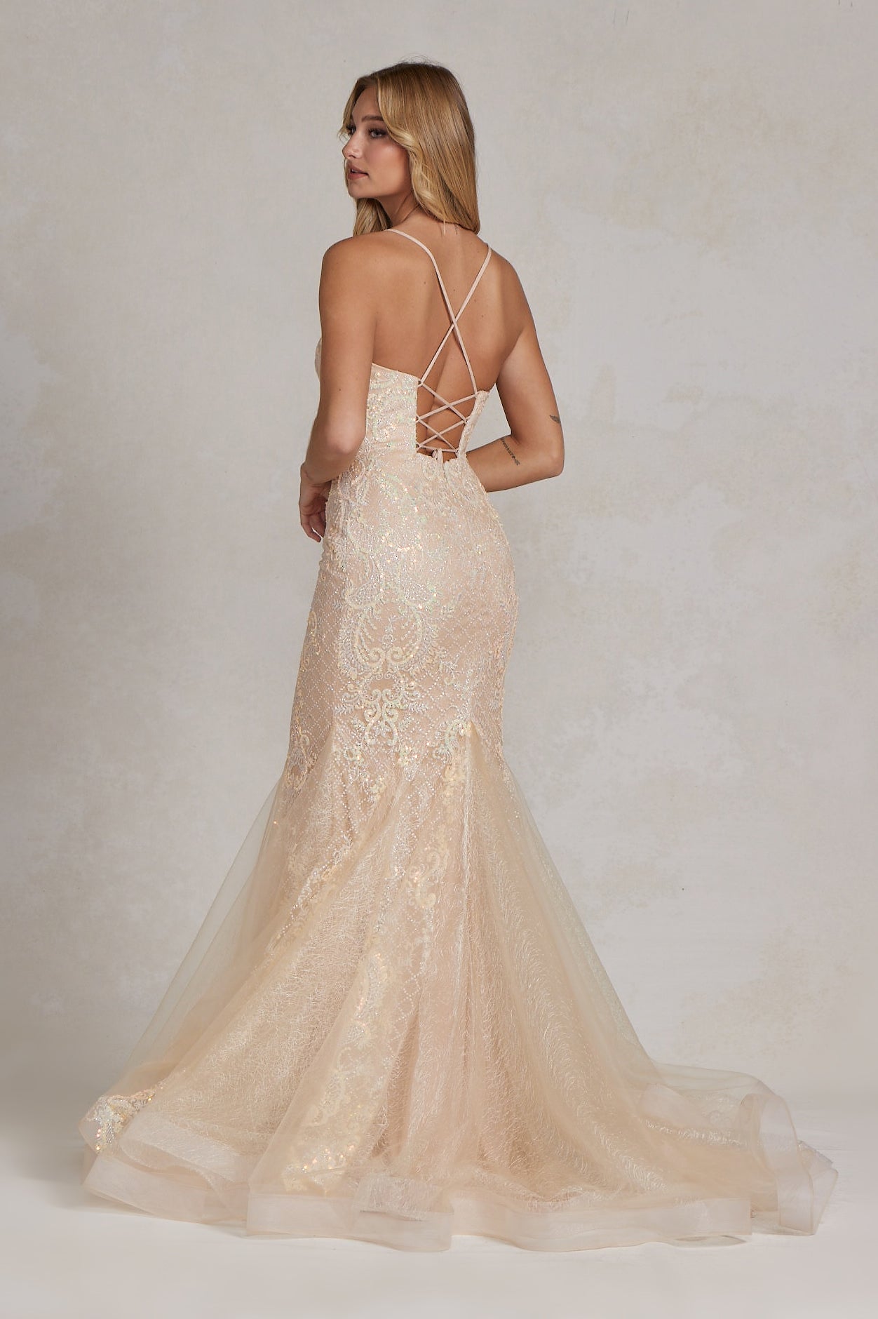 Memraid Tulle Skirt Embroidered Lace Long Prom Dress NXC1108-3