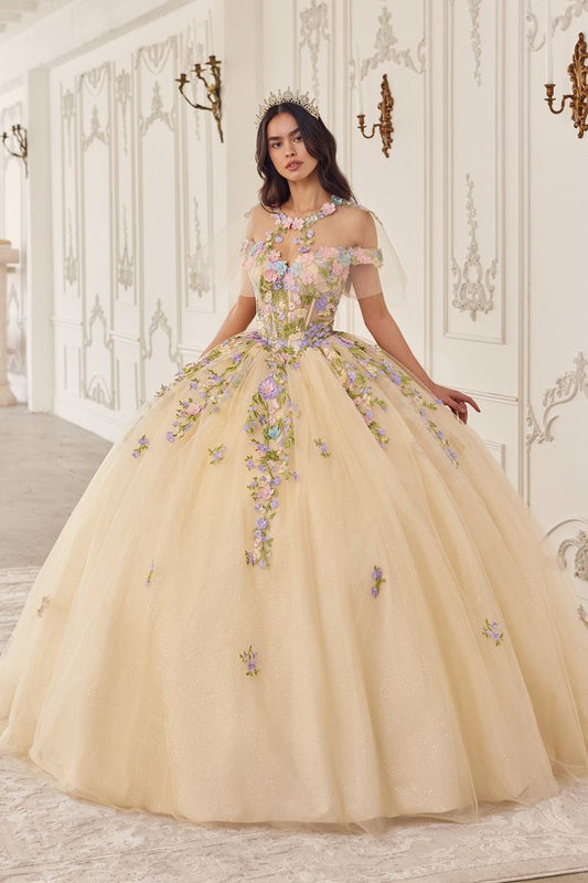 Multi Colored Floral Ball Gown-0