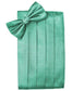 Set Herringbone Cummerbund & Bow Tie-1