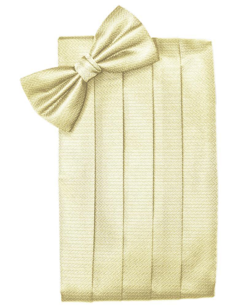 Set Herringbone Cummerbund & Bow Tie-4