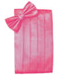 Set Herringbone Cummerbund & Bow Tie-6