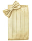 Set Herringbone Cummerbund & Bow Tie-7