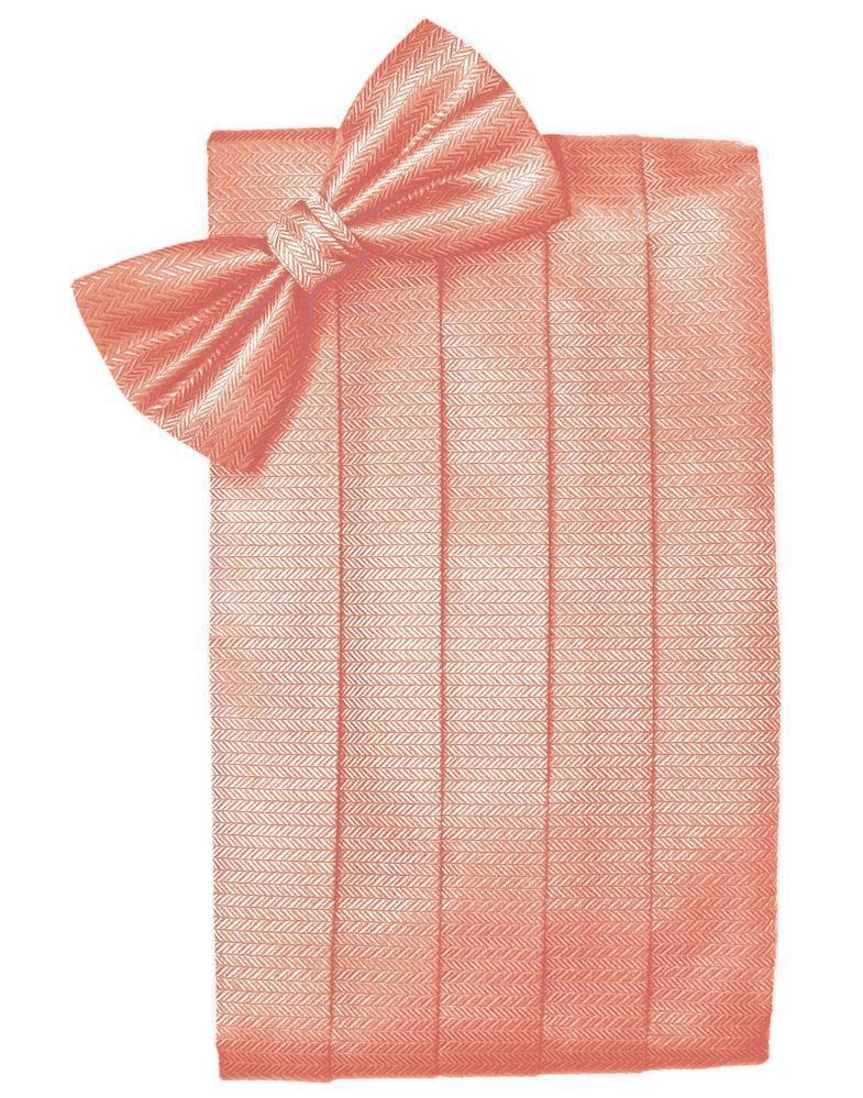 Set Herringbone Cummerbund & Bow Tie-13