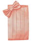 Set Herringbone Cummerbund & Bow Tie-13