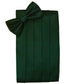 Set Herringbone Cummerbund & Bow Tie-24