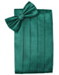 Set Herringbone Cummerbund & Bow Tie-26