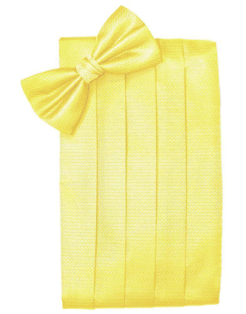 Set Herringbone Cummerbund & Bow Tie-29