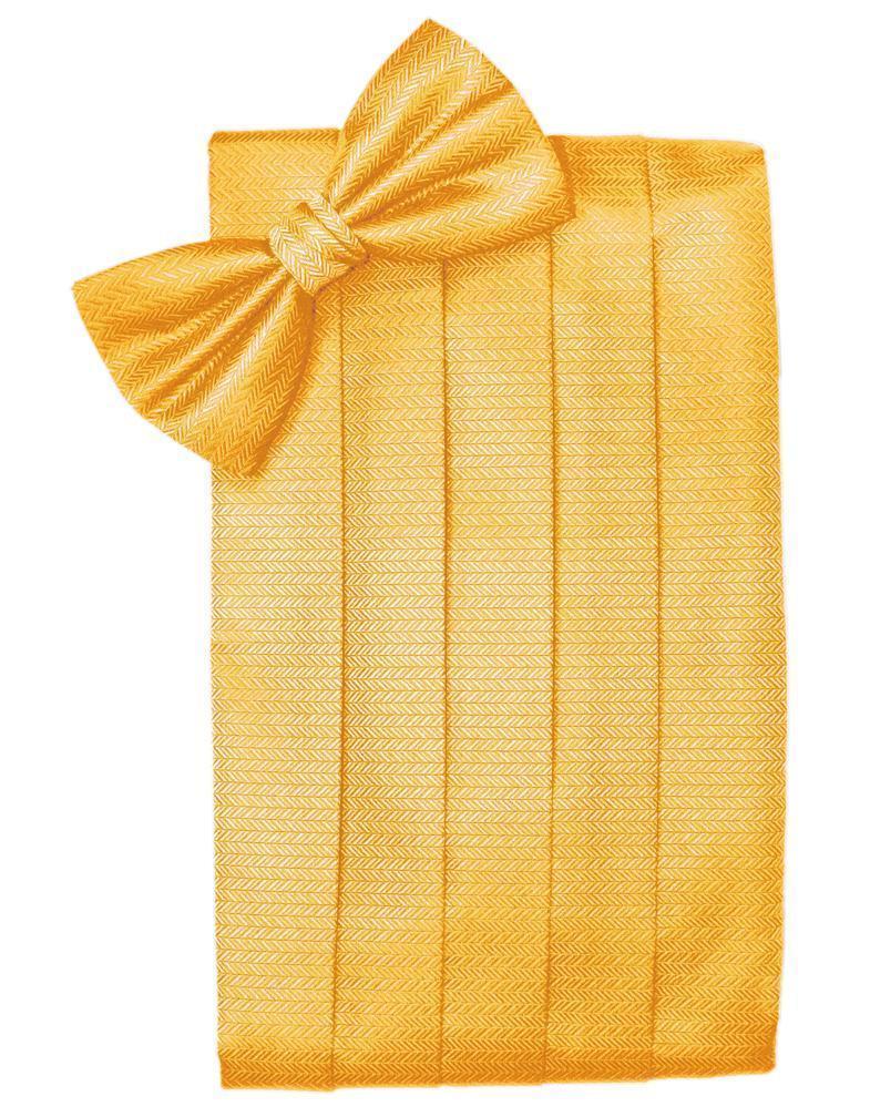 Set Herringbone Cummerbund & Bow Tie-30