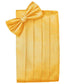 Set Herringbone Cummerbund & Bow Tie-30