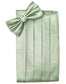 Set Herringbone Cummerbund & Bow Tie-32