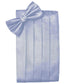 Set Herringbone Cummerbund & Bow Tie-36