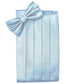 Set Herringbone Cummerbund & Bow Tie-43