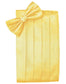 Set Herringbone Cummerbund & Bow Tie-51