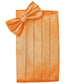 Set Herringbone Cummerbund & Bow Tie-52
