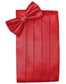 Set Herringbone Cummerbund & Bow Tie-54