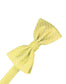 Palermo Bow Tie-3