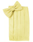 Palermo Cummerbund-3