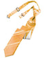 Striped Satin Skinny Necktie Pre-Tie-3