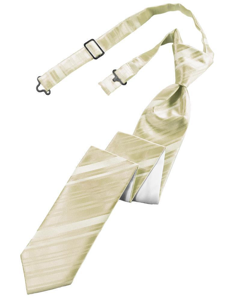 Striped Satin Skinny Necktie Pre-Tie-4