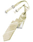 Striped Satin Skinny Necktie Pre-Tie-4