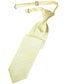 Striped Satin Kids Necktie-4