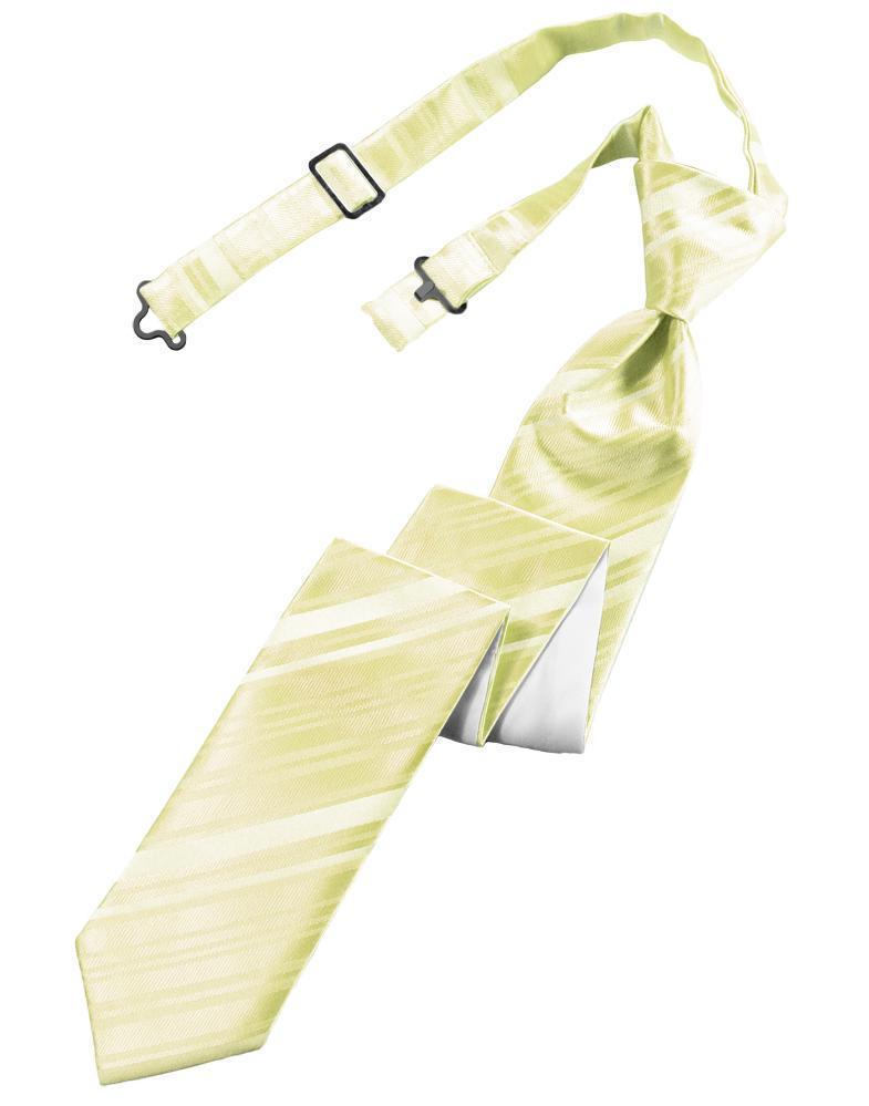 Striped Satin Skinny Necktie Pre-Tie-5