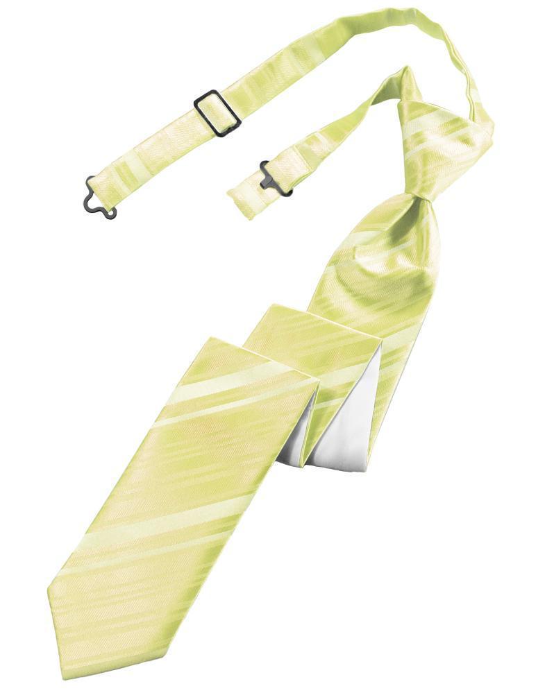 Striped Satin Skinny Necktie Pre-Tie-9
