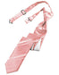 Striped Satin Skinny Necktie Pre-Tie-15