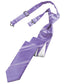 Striped Satin Skinny Necktie Pre-Tie-18