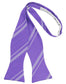 Striped Satin Bow Tie Self Tie-17