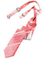 Striped Satin Skinny Necktie Pre-Tie-21