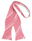 Striped Satin Bow Tie Self Tie-20