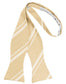 Striped Satin Bow Tie Self Tie-21