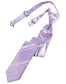 Striped Satin Skinny Necktie Pre-Tie-23