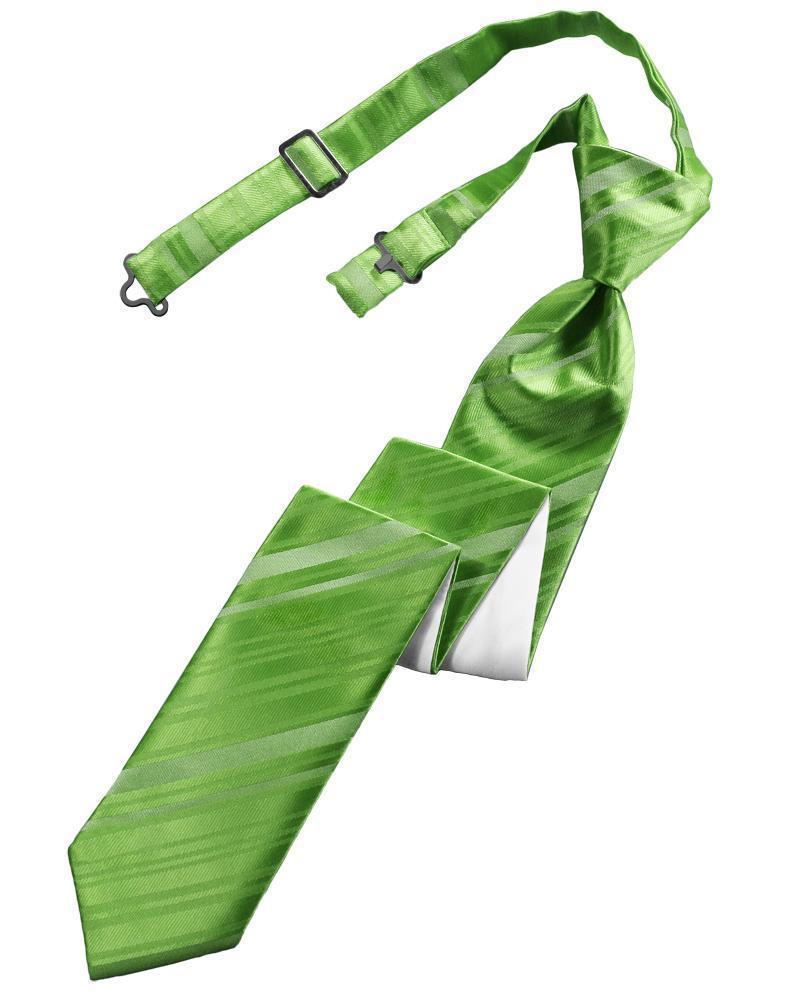 Striped Satin Skinny Necktie Pre-Tie-28