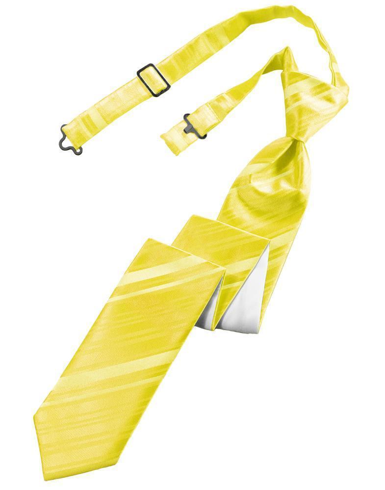 Striped Satin Skinny Necktie Pre-Tie-31