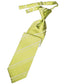 Striped Satin Kids Necktie-61