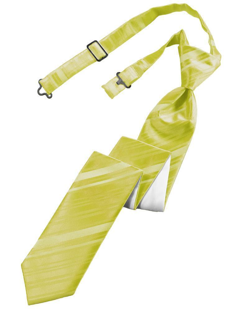 Striped Satin Skinny Necktie Pre-Tie-61